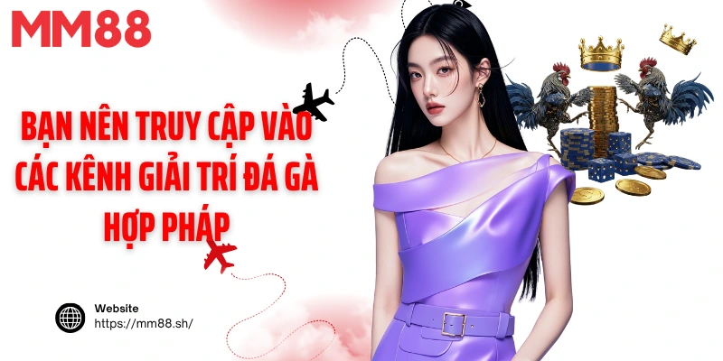 Bạn nên truy cập vào các kênh giải trí đá gà hợp pháp