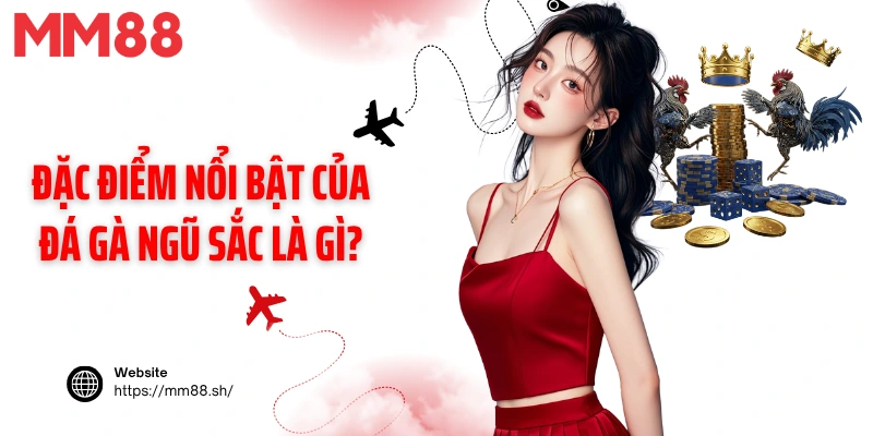 Đặc điểm nổi bật của đá gà ngũ sắc là gì?