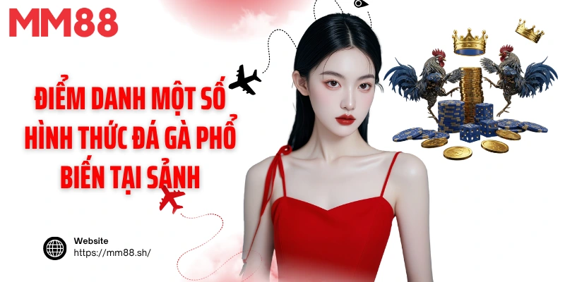 Điểm danh một số hình thức đá gà phổ biến tại sảnh