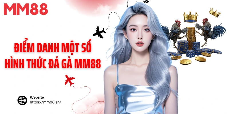 Điểm danh một số hình thức đá gà MM88