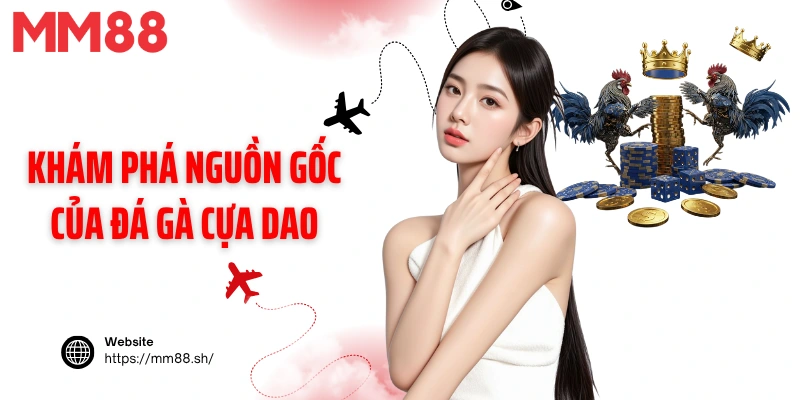 Khám phá nguồn gốc của đá gà cựa dao