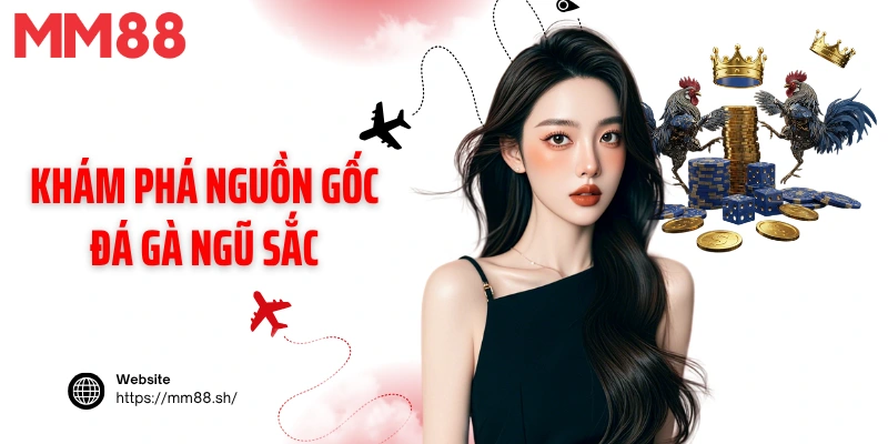 Khám phá nguồn gốc đá gà ngũ sắc